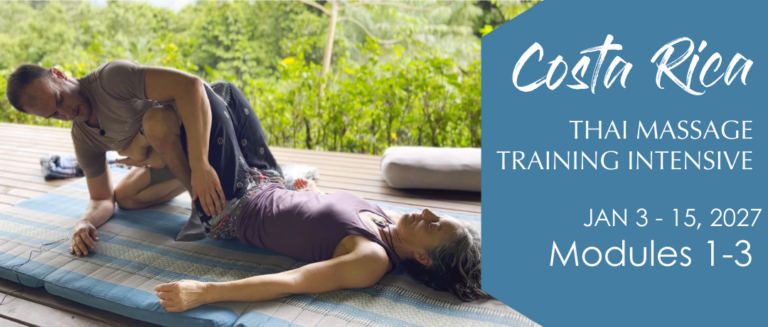 thai massage intensive training