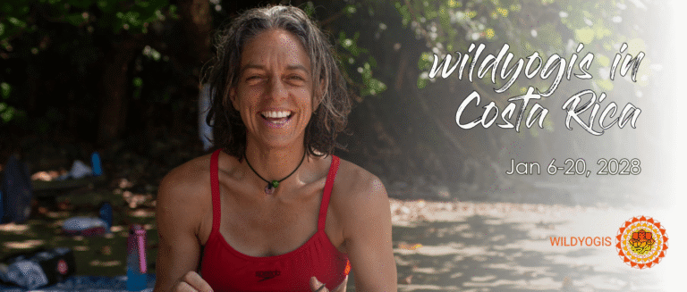 jo stephens wildyogis retreat